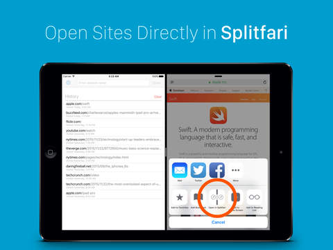 Splitfari - Split View Browser Companion screenshot 2