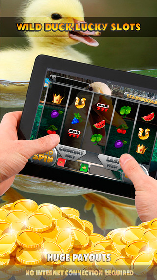 Wild Duck Lucky Slots - FREE Slot Game Spin for Win Big