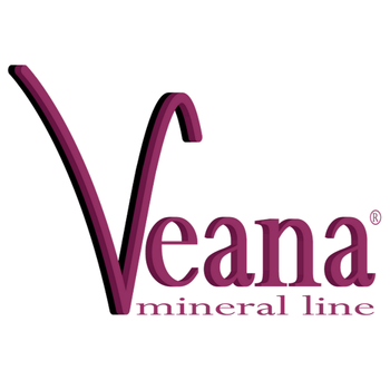 Veana LOGO-APP點子