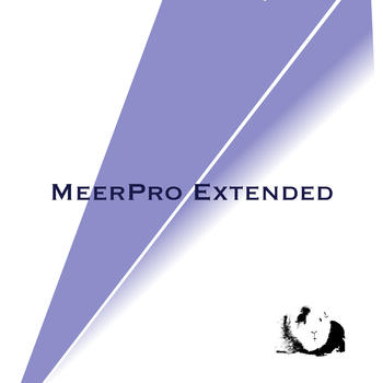 MeerPro Extended LOGO-APP點子