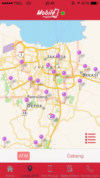 iPhone Screenshot 5