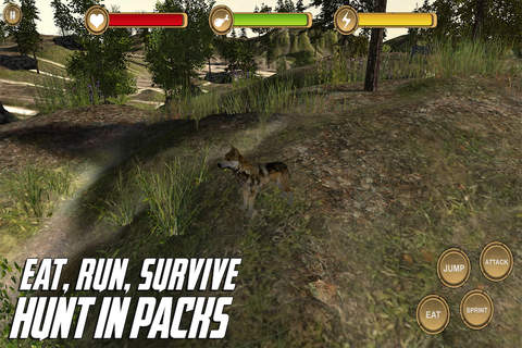 Gray Wolf Simulator - HD screenshot 3