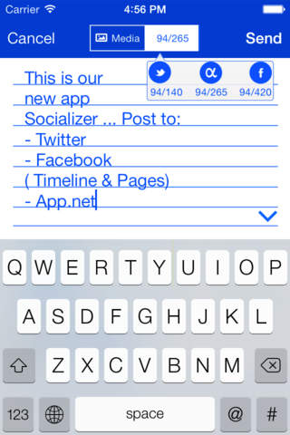 Socializer - MultiAccount Posting screenshot 2