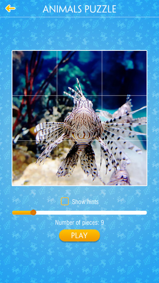 【免費遊戲App】Jigsaw Puzzle - Animals-APP點子