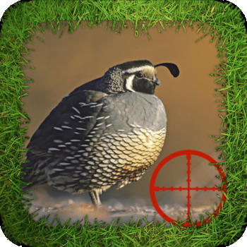 Dove Hunting Reloaded LOGO-APP點子