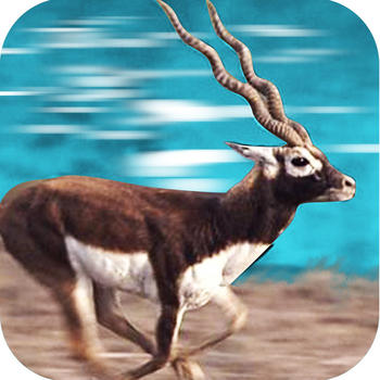 Furious Black Buck Simulation 遊戲 App LOGO-APP開箱王