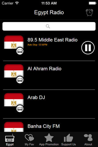 Egyptian Radio screenshot 2
