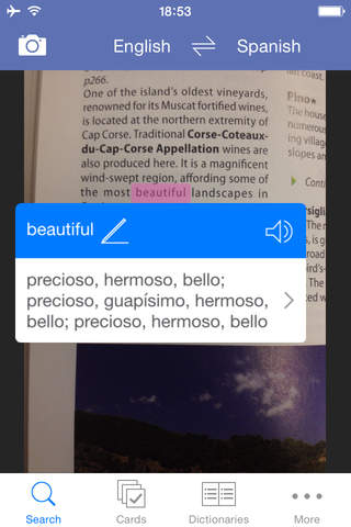 Lingvo Dictionary Pack: English <-> French, German, Italian, Russian, Spanish screenshot 2