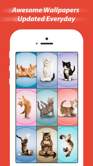 免費下載生活APP|Wallpapers for iOS 8 - Cool Themes app開箱文|APP開箱王