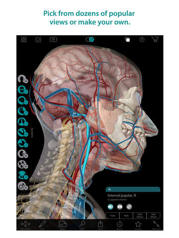 【免費醫療App】Human Anatomy Atlas – 3D Anatomical Model of the Human Body-APP點子