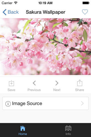 Sakura Wallpaper screenshot 2