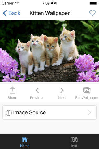 Cute Kittens Pictures screenshot 2