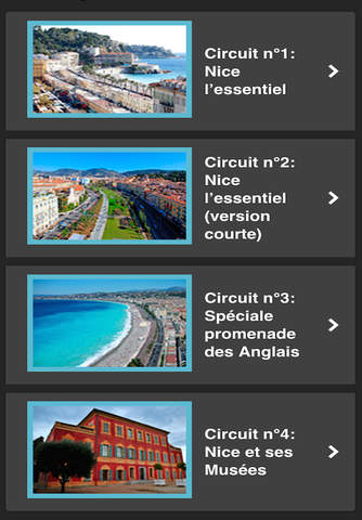 Nice Offline Travel Guide TourOnTrip screenshot 3