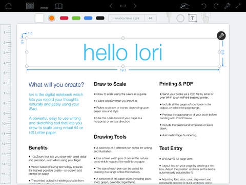 Lori LT - Notebook screenshot 2