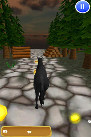 A Black Stallion: 3D Horsey Running Game - Pro Edition screenshot 3