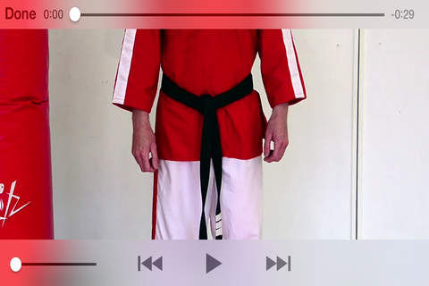 Green Belt Kick Jutsu screenshot 2