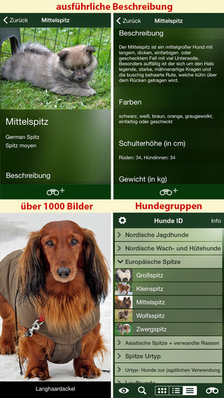 【免費書籍App】Hunde Id - Welcher Hund passt zu mir? Sunbird Ratgeber zur Auswahl der passenden Hunderasse-APP點子