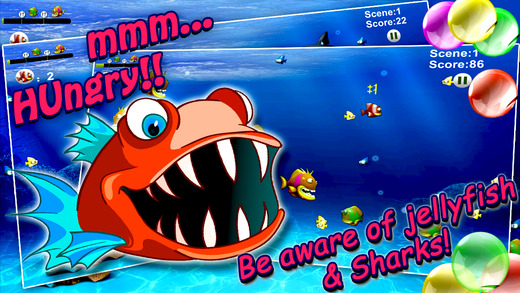 免費下載遊戲APP|Hungry Fish : A deadly hungry fish attack in the sea FREE! app開箱文|APP開箱王