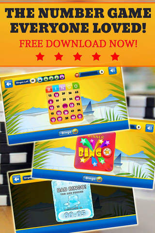 BINGO DOLLAR - Play Online Casino and Number Card Game for FREE ! screenshot 4