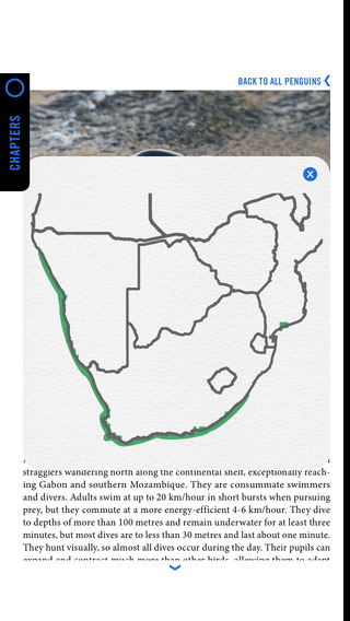 免費下載書籍APP|The Ultimate Companion for Birding in Southern Africa app開箱文|APP開箱王