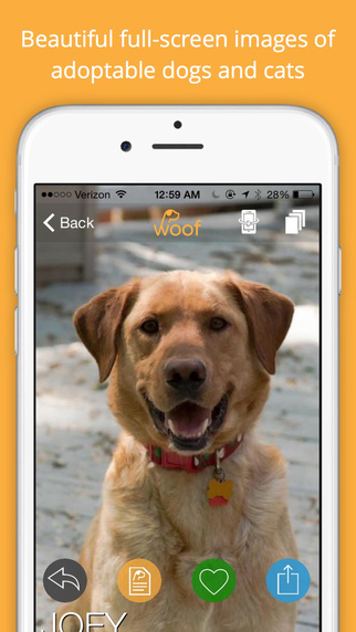 免費下載生活APP|Woof Rescue - Pet Finder for Dog Adoption and Cat Adoption app開箱文|APP開箱王