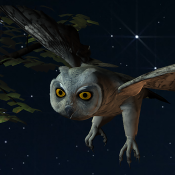 Night Owls LOGO-APP點子