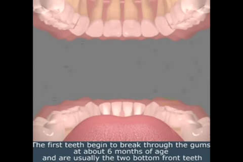Dental Health. screenshot 3