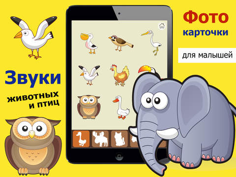 Скриншот из The voices of birds & animals sounds for kids - educational games for kids smart cards FREE