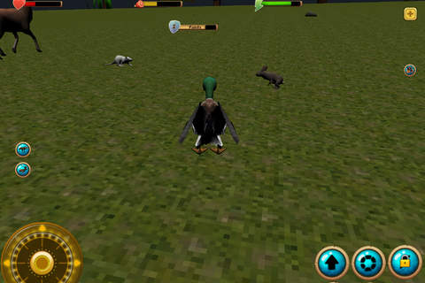 Wild Duck Simulator screenshot 3