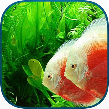 Tanked Aquarium 3D - Relaxing Tropical Scenes with Coral Reef, Sharks & Fish Tank 教育 App LOGO-APP開箱王