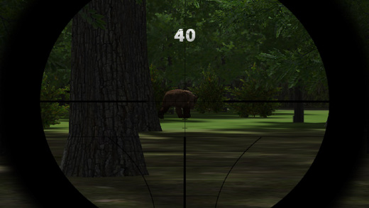 Jungle Sniper Challenge 3D