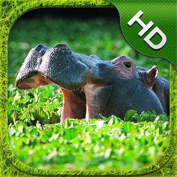 Hippopotamus Simulator - HD LOGO-APP點子