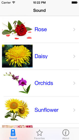 Free Flower Name In 13 Languages from Normandy Flower Online