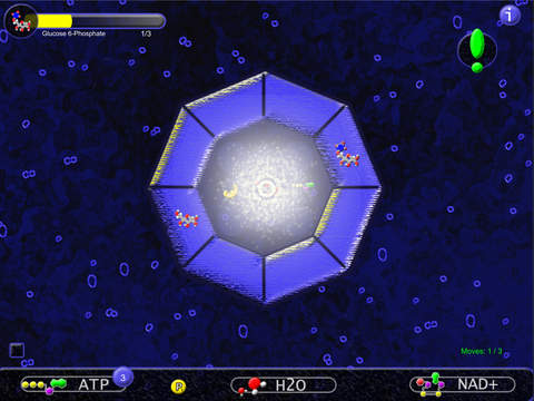 【免費教育App】Glycolysis in 10 Minutes-APP點子