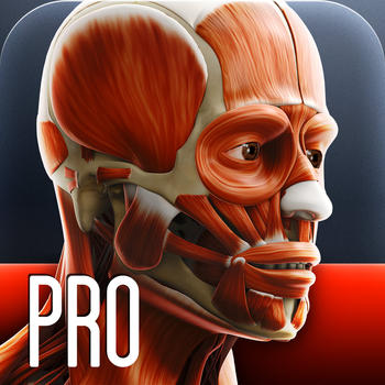 Anatomy In Motion - Complete - Muscle System Flashcards for iPhone and iPad LOGO-APP點子