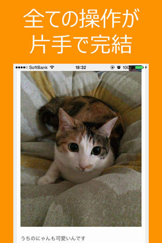 もふもふにゃんこ - かわいい猫で癒される、ねこ好き必携のアプリ screenshot 3
