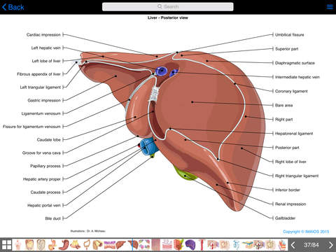 e-Anatomy In App Medical Anatomy Labels Images With