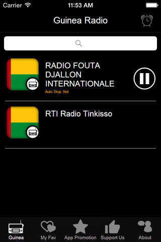 Guinea Radio screenshot 4