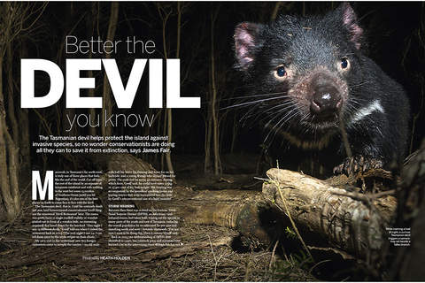 Best of BBC Wildlife Magazine screenshot 4