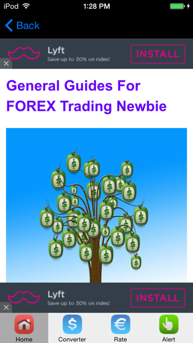 Newbie forex trader