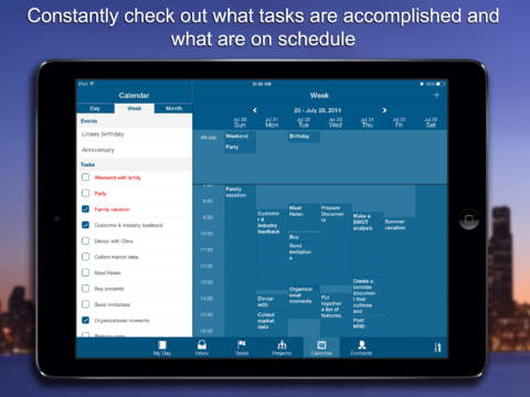 Daily Task: project management screenshot 2