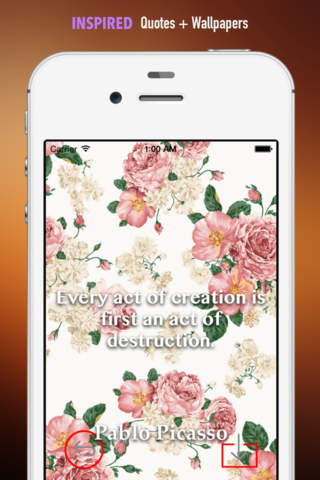 Rose Print Wallpapers HD: Quotes Backgrounds with Flora Designs and Patterns screenshot 4
