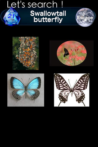 Butterfly Trivia Touch screenshot 2