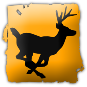 Deer Drive