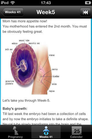 Pregnancy Weeks 41 screenshot 4