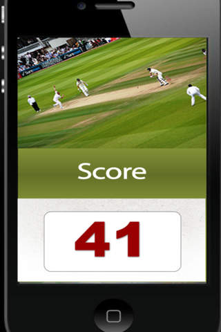 Wicket Cricket screenshot 3