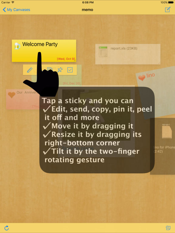 iPad Screenshot 5