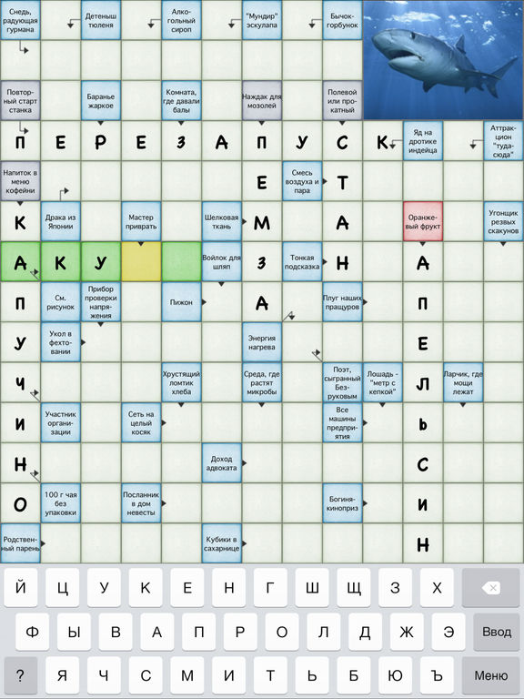 iPad Screenshot 1