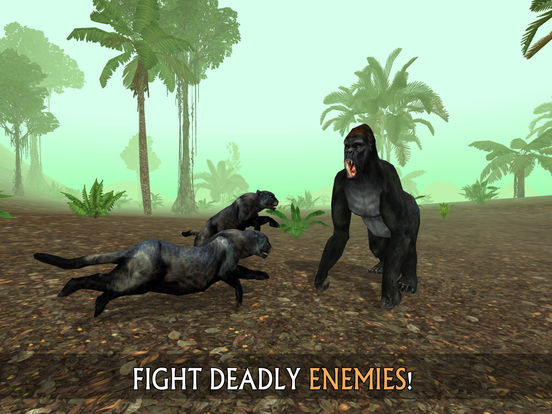 Wild Panther Sim 3D: Rainforest RPG Adventuresscreeshot 3