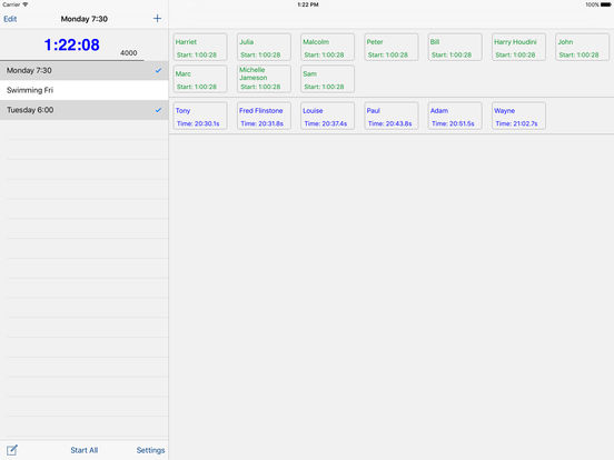 iPad Screenshot 2